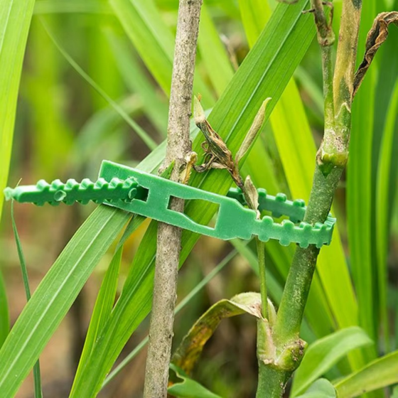 Хомуты садовые, подвязки для растений 50 шт,многоразовые пластиковые стяжки длина 13 см цвет зелёный Каменец-Подольский
