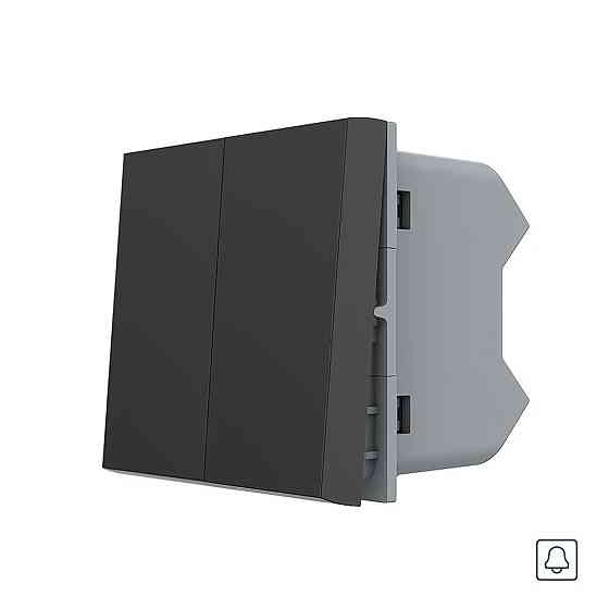 LIVOLO 2-клавішний кнопковий вимикач без фіксації (дзвінковий / імпульсний) LIVOLO, чорний, мод Коломыя