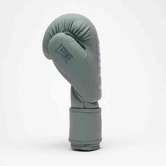 Боксерські рукавиці Leone GN058 TONE X Light grey 16 унцій Кам'янське