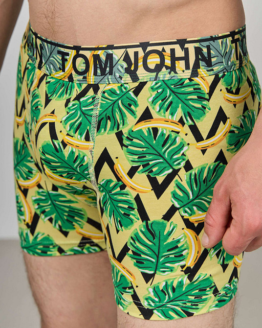 Боксери чоловічі Tom John - Листя 2200-9 L Київ - фото 5