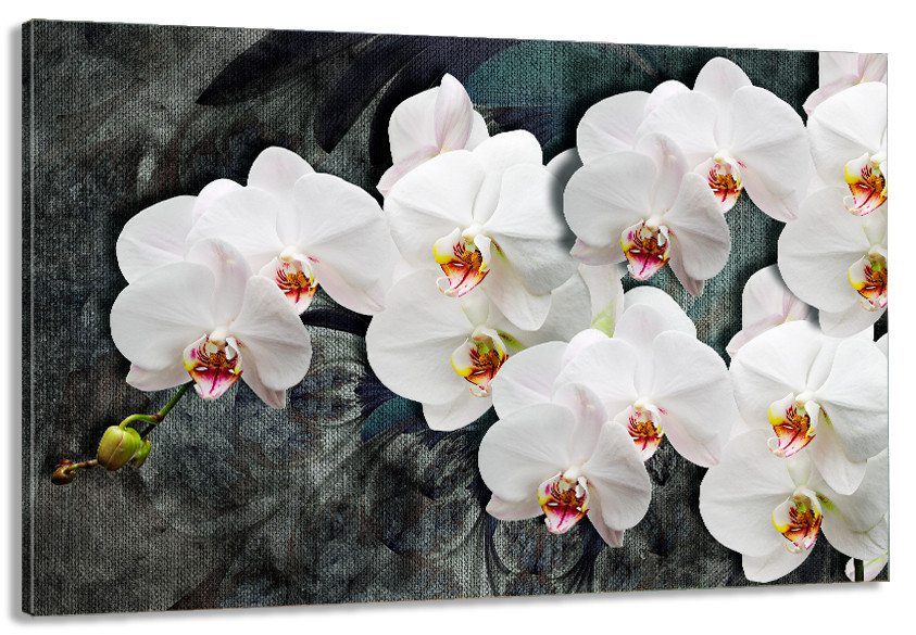 Картина холст в гостиную / спальню  Орхідея      MLP_303 50x100 см Киев - изображение 1