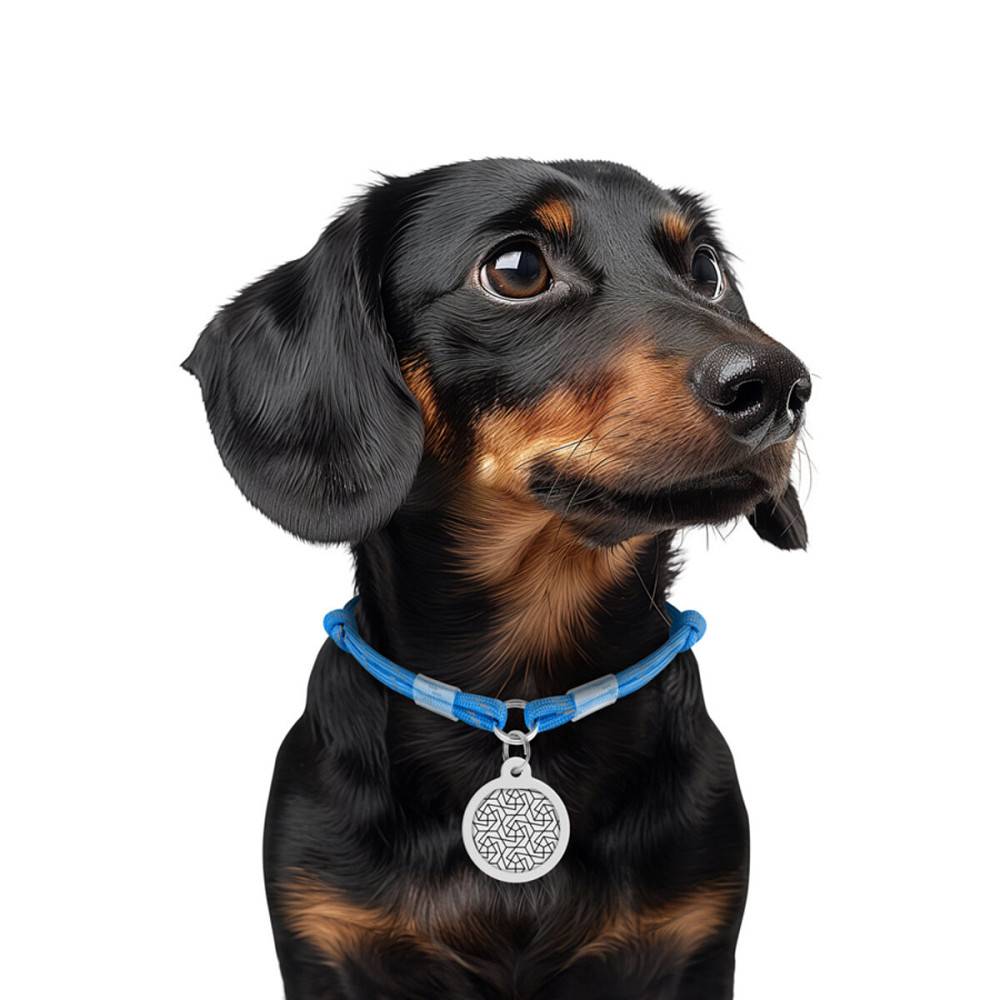 Шнурок для адресника з паракорду WAUDOG Smart ID, світловідбиваючий, розмір S, діаметр 4 мм, довжина 25-45 см синій Київ - фото 2