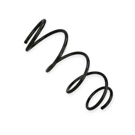 Пружина Renault Clio III, Modus 1.2i 05- передняя Мукачево