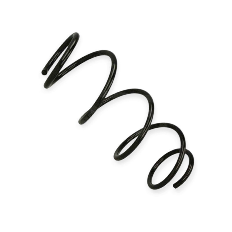 Пружина Renault Clio III, Modus 1.2i 05- передняя Мукачево - изображение 1