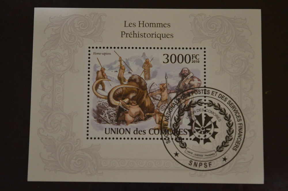 Коморы. Марки. Фауна. Блок. 2010 год (В-5) Полтава - изображение 1