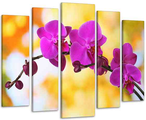 Модульная картина Орхидея Art-128_5 110x160 см Киев