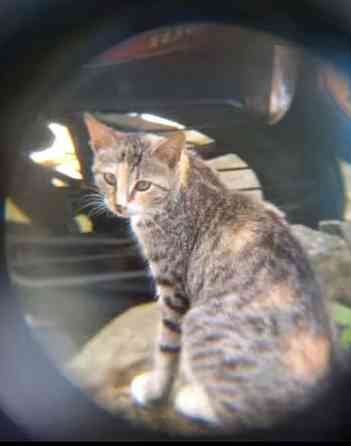 Бинокль мощный 500 Киев