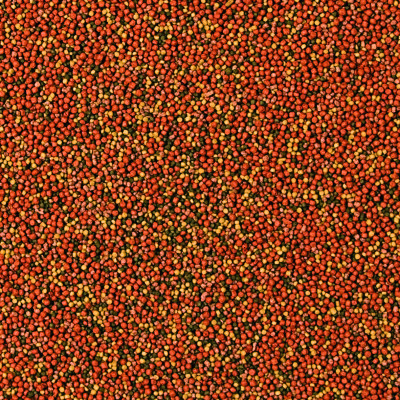 Корм для рыб Tropical SuperVit Granulat в гранулах 10 г (5900469614013) Винница - изображение 2