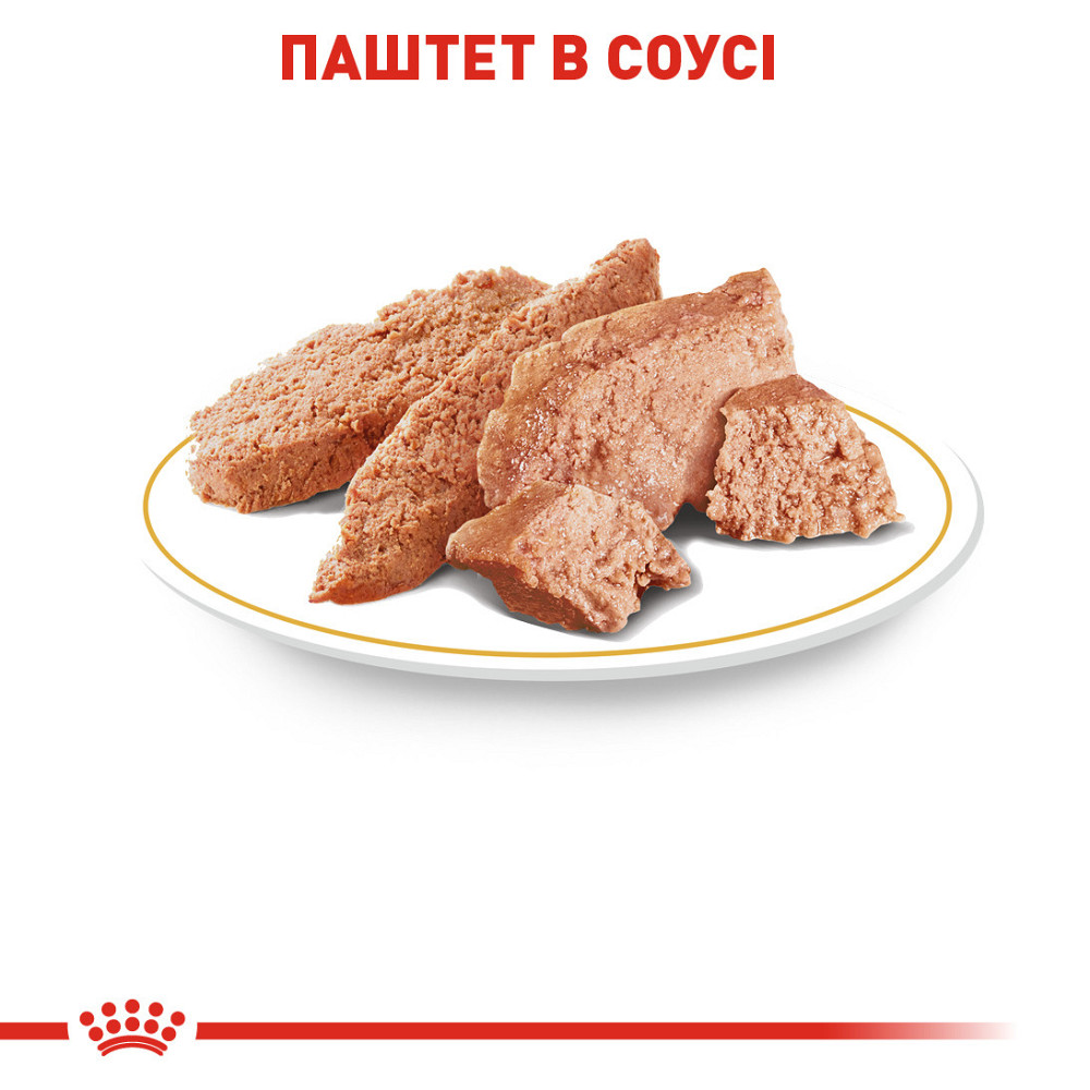 Вологий корм для дорослих собак породи Пудель ROYAL CANIN POODLE LOAF 0.085 г Київ - фото 3