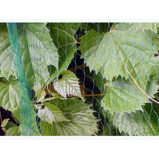 Сітка захисна, BIRD NET, 10 г/м², 4х500м, AS-BN10191940500 Київ