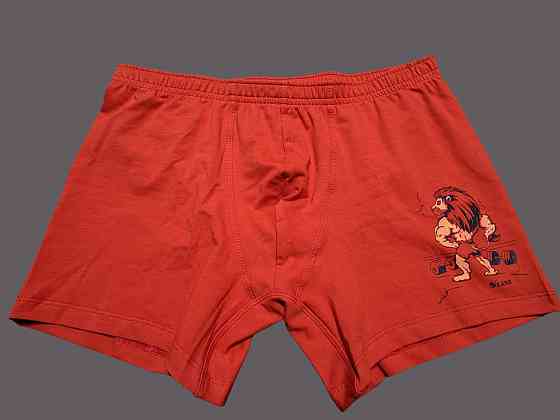 Мужские трусы транки Lans 