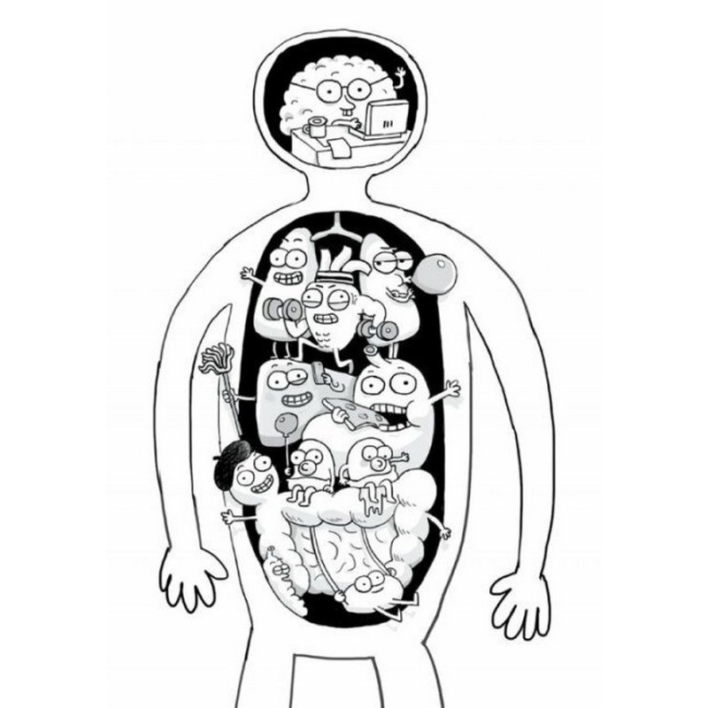 Енциклопедія дошкільника "Анатомія для дітей" 154101 Вінниця - фото 7