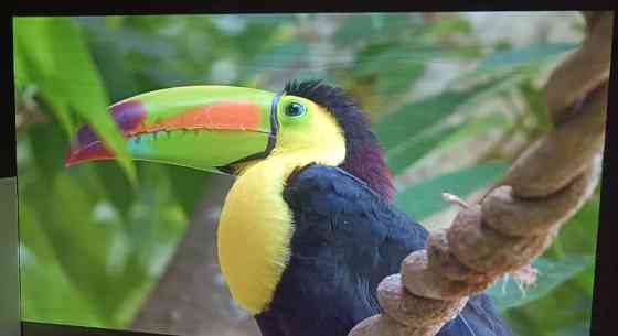 Проектори AURZEN EAZZE D1, С26С, С58, Андроїд, Автофокус,4К, Харків