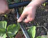 Лента для капельного полива SUPER DRIP TAPE 15см.(1000м) эмитерная(корея) Харьков