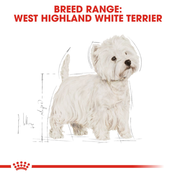Royal Canin West Highland White Terrier Adult (Рояв Канін Вест Гайленд Уайт Тер’єр Едалт) корм для собак 3 кг. Запоріжжя