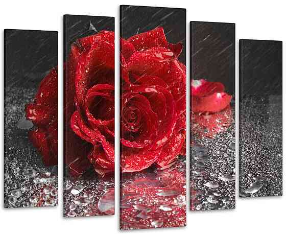 Модульна картина Троянда Дощ Art-83_5 Київ