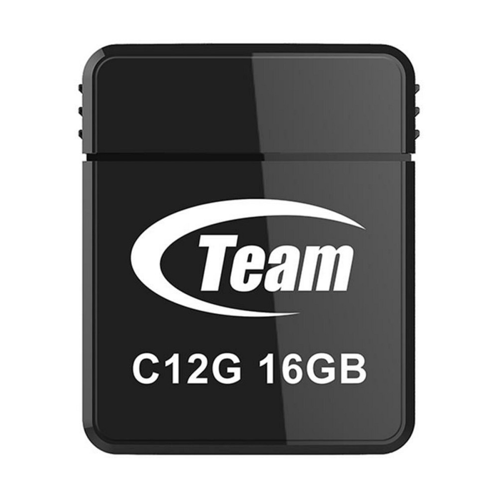 Flash Team USB 2.0 C12G 16Gb Black Киев - изображение 2