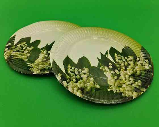 Бумажная тарелка с рисунком  18см