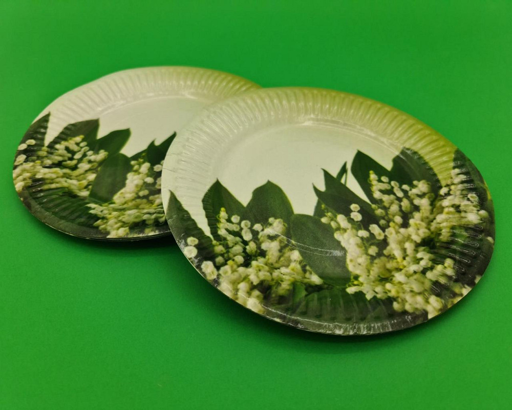 Паперова тарілка з малюнком 18 см "No 30"Ландиші 10 шт (1 пачка) Харків - фото 1