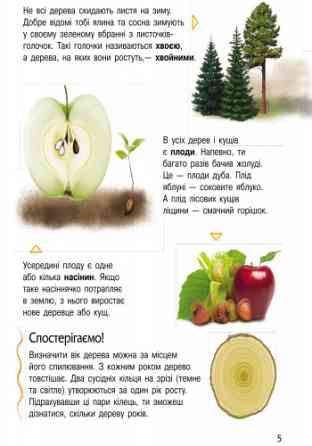 Детская энциклопедия про природу 614008 для дошкольников Винница