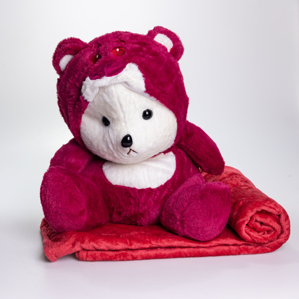 Мишка Тедді 3 в 1: плед, подушка, іграшка Київ - фото 4