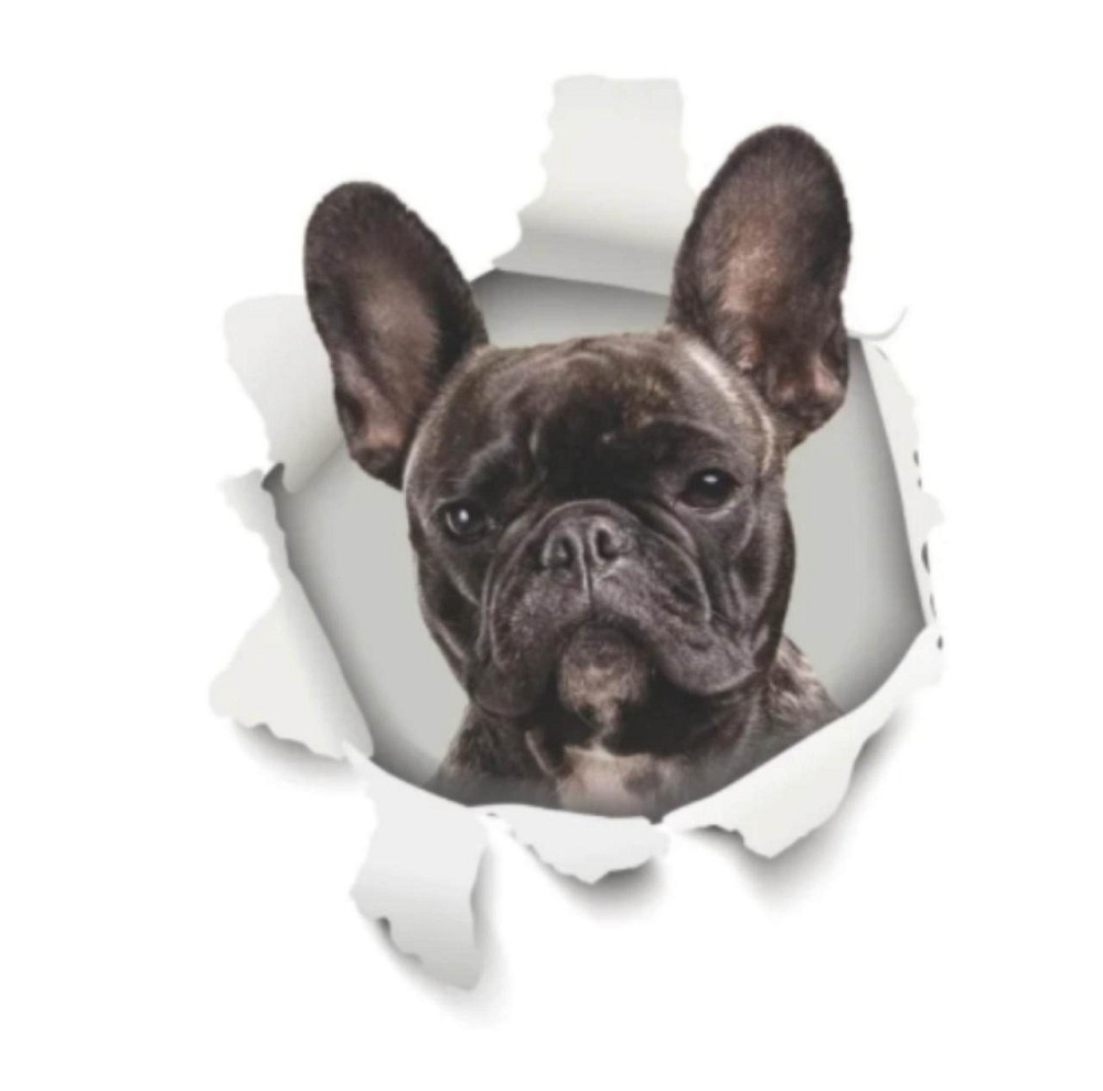 Интерьерная наклейка на стену Французский бульдог Киев - изображение 1