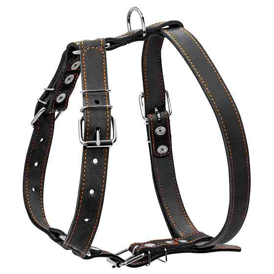 Шлея "CoLLaR" одинарна для середніх собак (ширина 25мм, А:49-68см, В:68-80см) чорний Київ