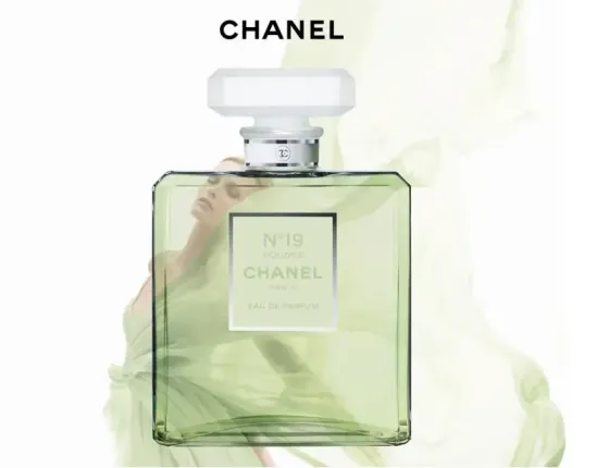 Chanel Женская парфюмированная вода Chanel №19 Poudre 100 мл с магнитной лентой Коломыя