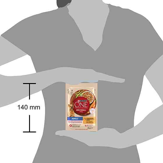 Влажный корм PURINA ONE Mini/Small для взрослых собак мелких пород, кусочки в соусе, с курицей, морковью и зеленой фасолью, 85 г Киев