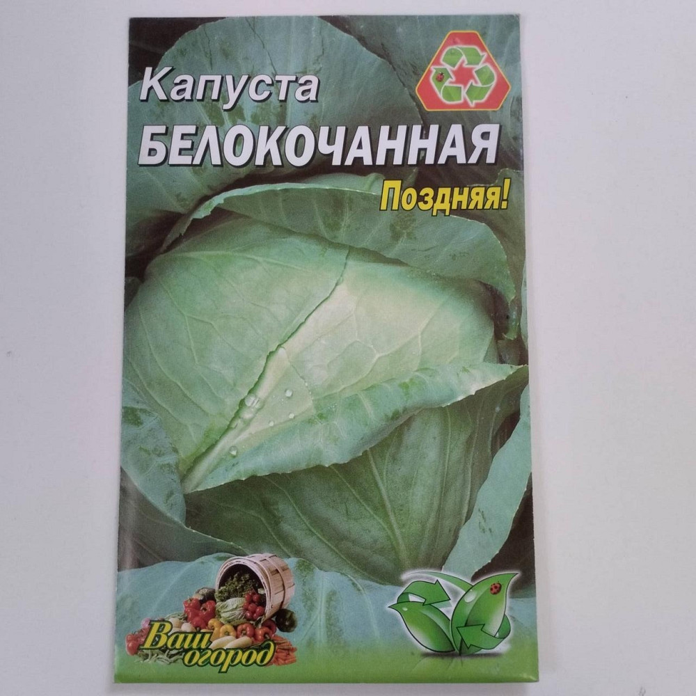 Капуста