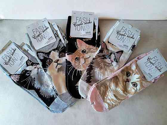 Носки женские с котятами.В наборе из 5шт. Яркие женские носки с приколами. Coalo socks. Размер 36-41 Киев