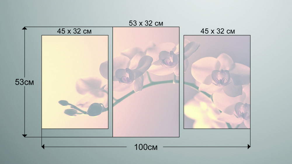 Модульная картина Орхидея  Art-1_3 Киев - изображение 3