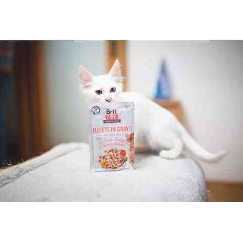 Вологий корм Brit Care Cat Pouch для котів, філе в соусі, ніжна індичка і пікантний лосось, 85 г Київ