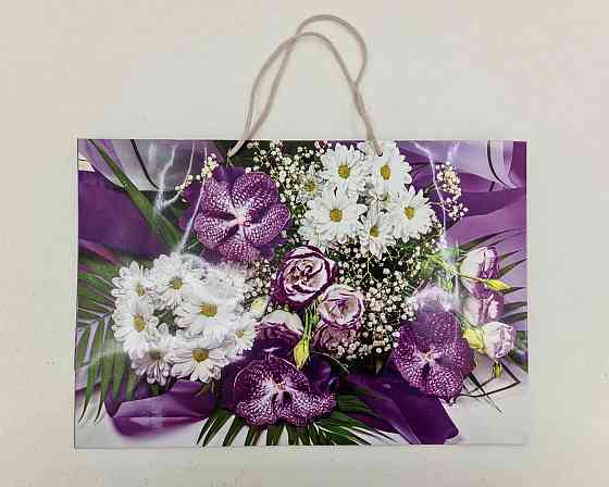 Гіганти горизонтальні 46*33*15 (артGG-005) (12 шт.) Харків