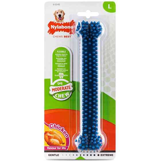 Nylabone Moderate Chew Dental Bone НИЛАБОН ДЕНТАЛ БОУН жевательная игрушка для собак, вкус курицы Киев