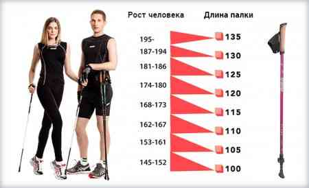 Трекінгові ціпки для скандинавської ходьби 2 шт. Feel Fit MS 2019-1-BL Синій Бровари