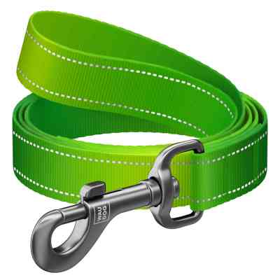 Поводок для собак WAUDOG Nylon Mono светоотражающий, S, Ш 15 мм, Д 300 см, салатовый (46435) Винница