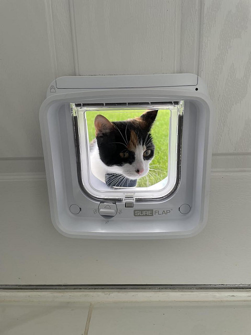 SureFlap смарт мікрочипні розумні дверцята для котів з WiFi RFID-мітки мобільне керування вуличні міжкімнатні Київ - фото 9
