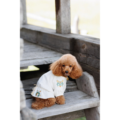 Футболка для тварин Pet Fashion Maryana XS (4823082439317) Вінниця - фото 3