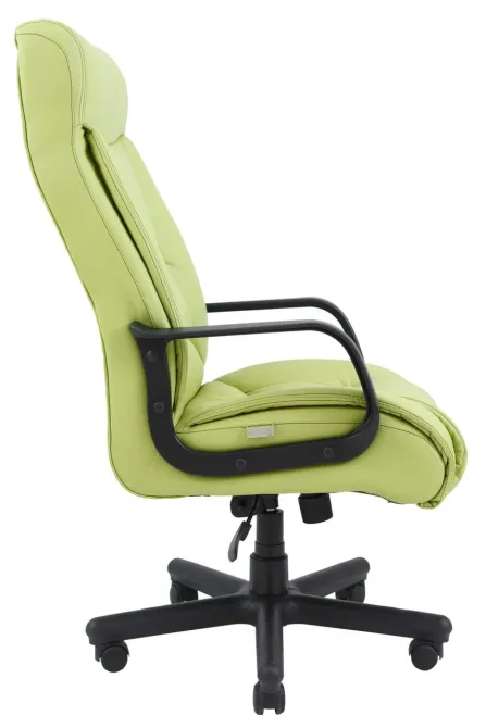 Офісне Крісло Керівника Richman Magistr Fly 2236 Wood М3 MultiBlock Зелений Київ - фото 3