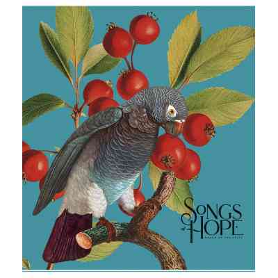 Тетрадь Школярик Birds 60 листов клетка (060-3410K) Винница