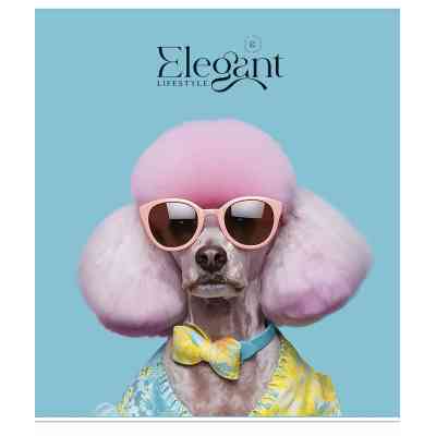 Зошит Школярик Elegant portrets 48 аркушів клітинка (048-3309K) Вінниця