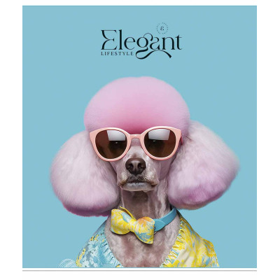 Зошит Школярик Elegant portrets 48 аркушів клітинка (048-3309K) Вінниця - фото 3