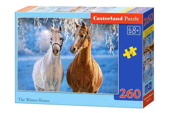 Пазлы Castorland 260, шт Київ
