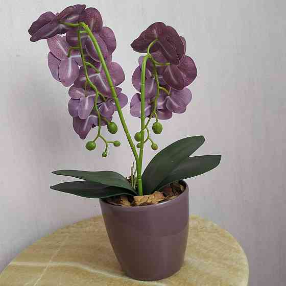 Штучна латексна міні орхідея в бордовому пластиковому кашпо на дві гілки бордова Дніпро