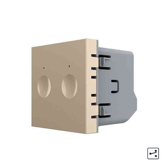 LIVOLO Сенсорний вимикач LIVOLO Sense, 2-сенсорний, золотий, прохідний / перехресний, 5А 230В, Коломыя