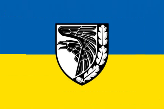 Патриотический флаг 60 х 90 см (66) Винница