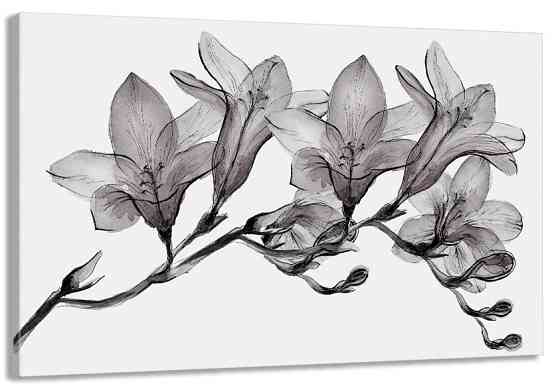 Картина холст в гостиную / спальню Магнолія   MLP_198 50x100 см Киев