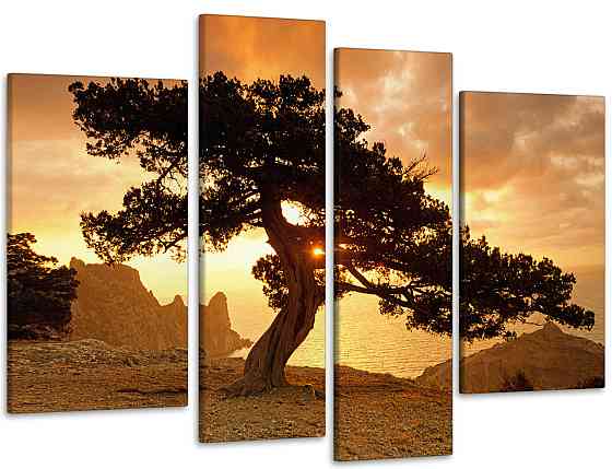 Модульная картина Закат Дерево Art-63_4 105x150 см Киев