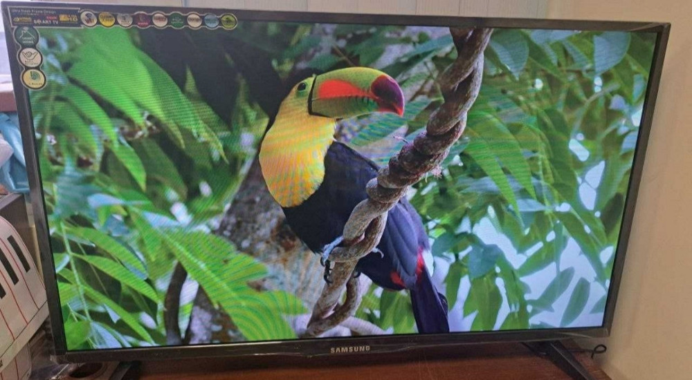 Телевизор: Samsung Smart TV, T2 ,42